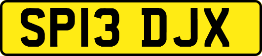 SP13DJX