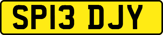 SP13DJY