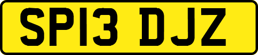 SP13DJZ
