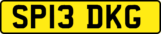 SP13DKG