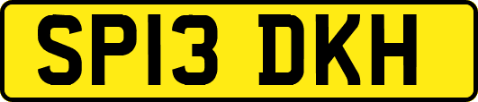 SP13DKH