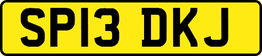 SP13DKJ