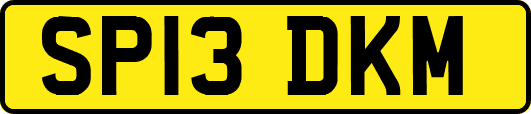 SP13DKM