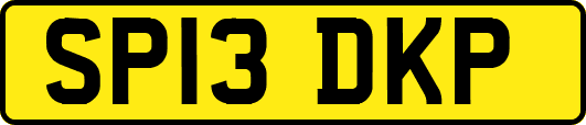 SP13DKP