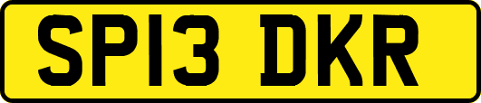 SP13DKR