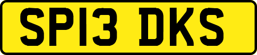 SP13DKS