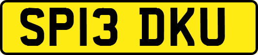 SP13DKU