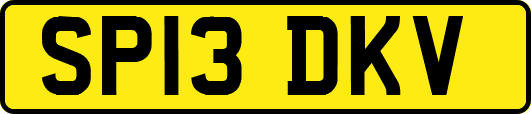 SP13DKV