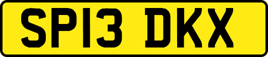 SP13DKX