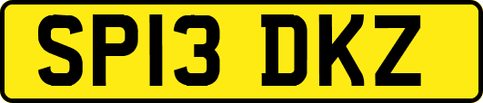 SP13DKZ