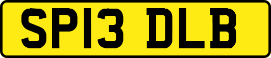SP13DLB