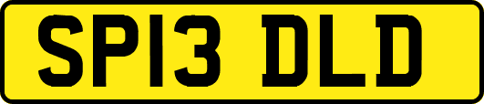 SP13DLD