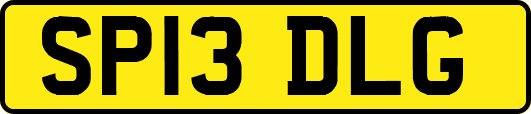 SP13DLG