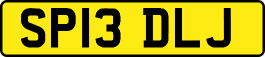 SP13DLJ