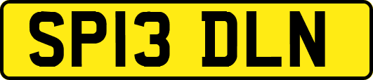 SP13DLN