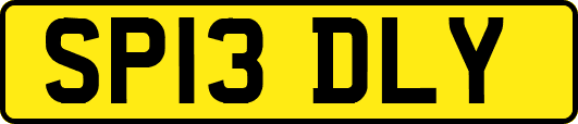 SP13DLY