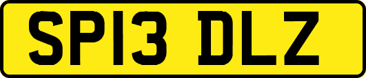 SP13DLZ