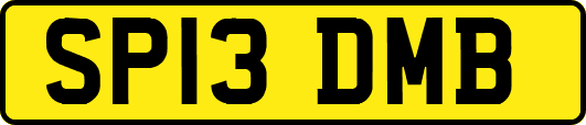 SP13DMB