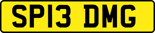 SP13DMG