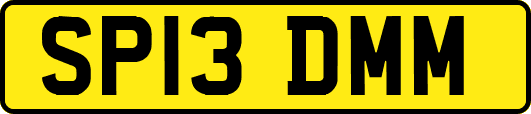SP13DMM