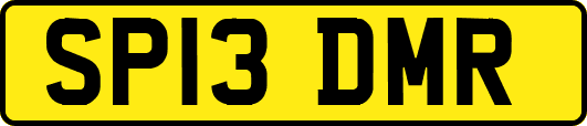 SP13DMR