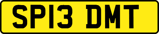 SP13DMT
