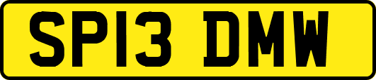 SP13DMW