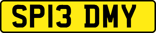 SP13DMY