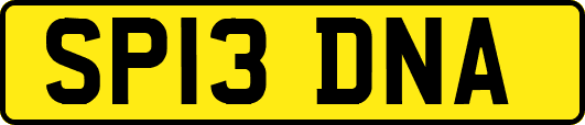 SP13DNA