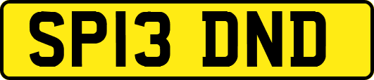SP13DND