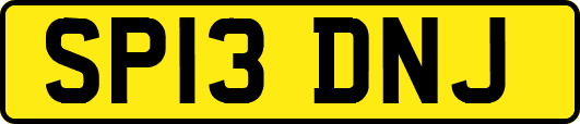 SP13DNJ