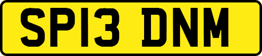 SP13DNM