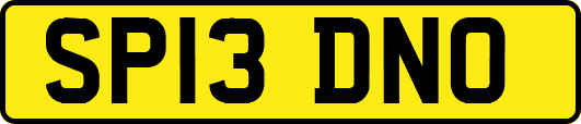 SP13DNO