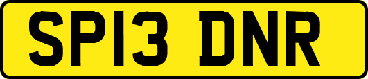 SP13DNR