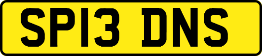 SP13DNS