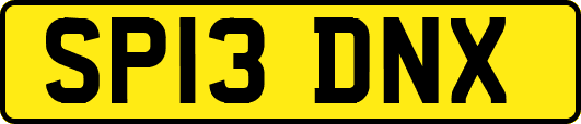 SP13DNX
