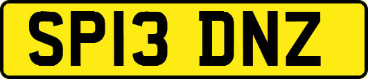 SP13DNZ