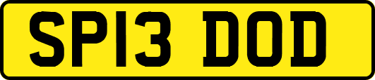 SP13DOD