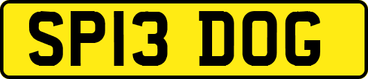SP13DOG