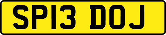 SP13DOJ