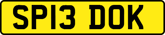 SP13DOK