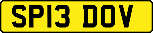 SP13DOV