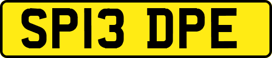 SP13DPE
