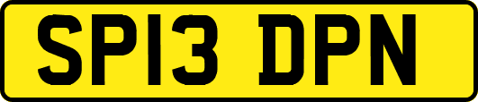 SP13DPN