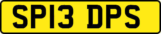 SP13DPS