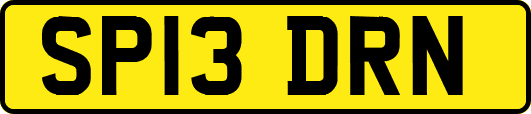 SP13DRN
