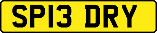 SP13DRY