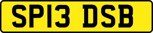 SP13DSB