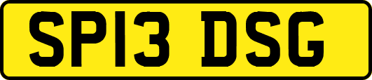 SP13DSG