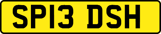 SP13DSH